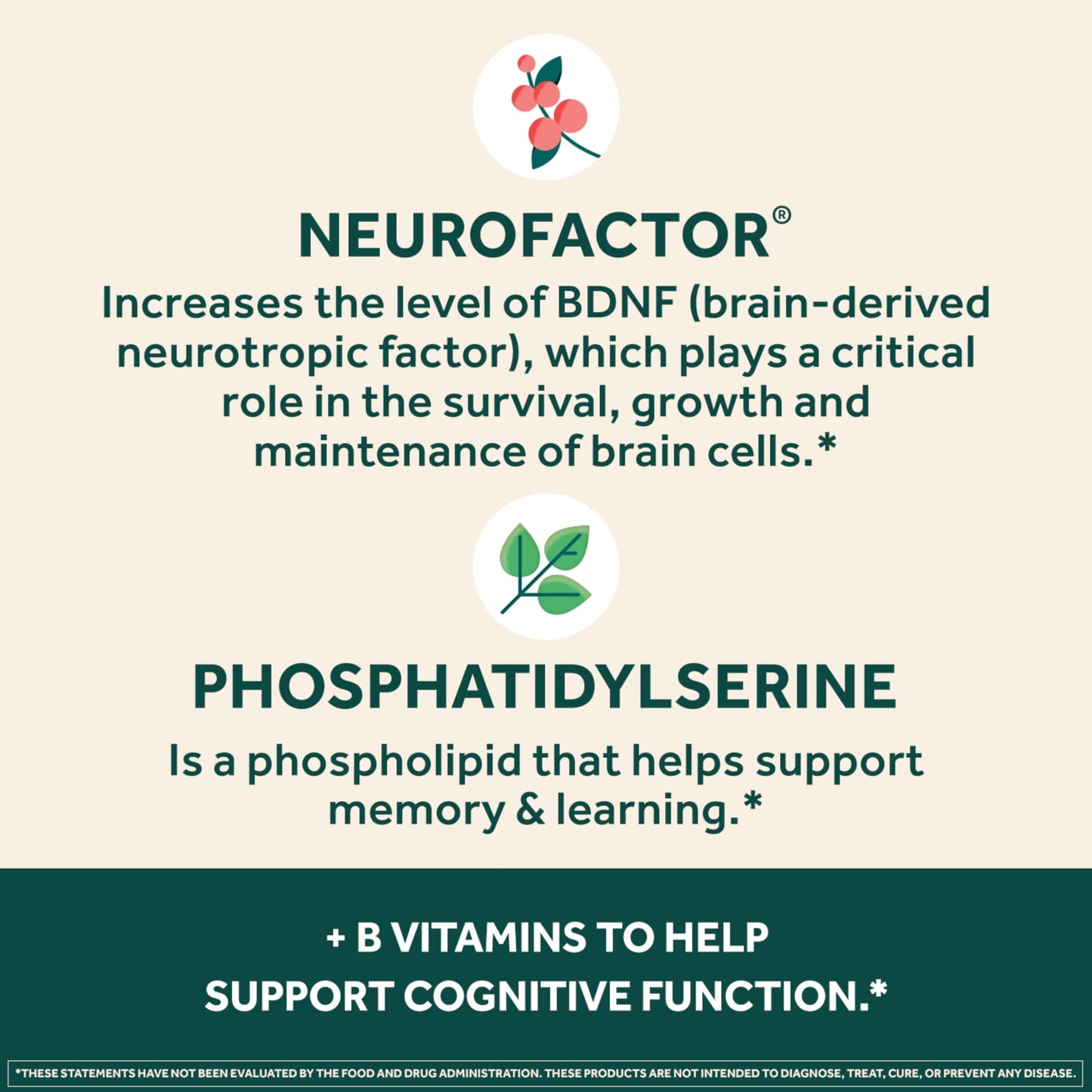 NEURIVA Plus Brain Supplement 30 Capsules